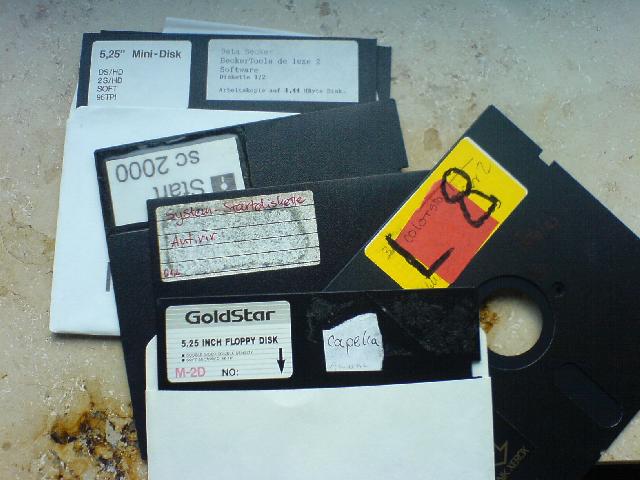 Ich habe gerade meine alten 5 1/4 Zoll Disketten gefunden. Damals gabs noch schöne Programme: SimCity 2000, Capella und L8 (Ein selbstgeschriebenes, nutzloses Programm um 8 LEDs am Parallelport zu betreiben. Damals fanden wir das aber noch ganz toll.)